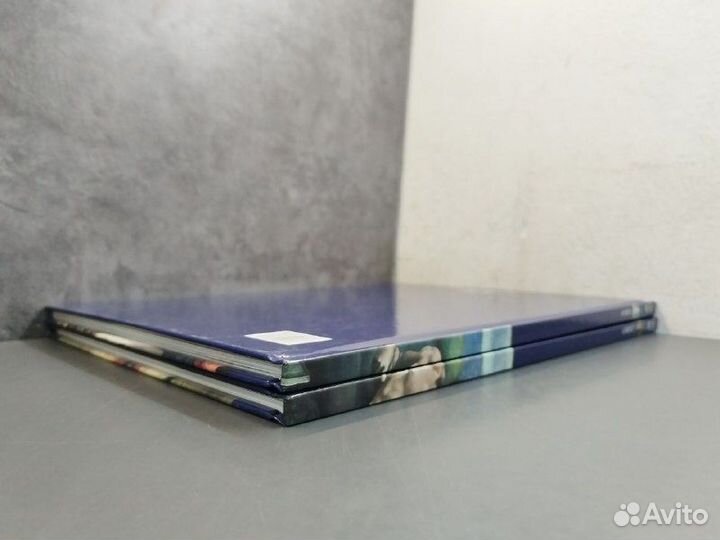 Музеи мира. Лувр в 2х томах