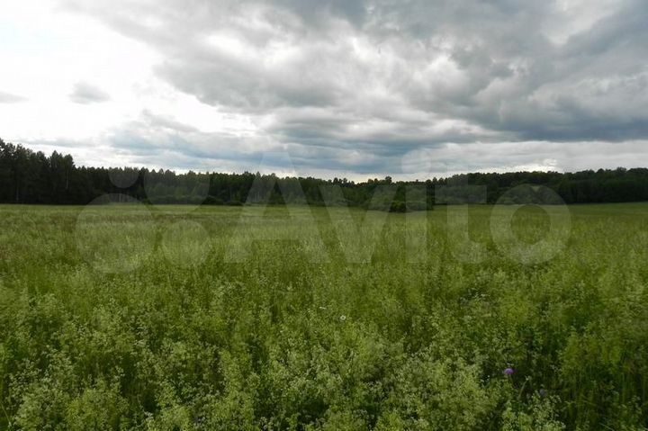 Участок 16 га (СНТ, ДНП)