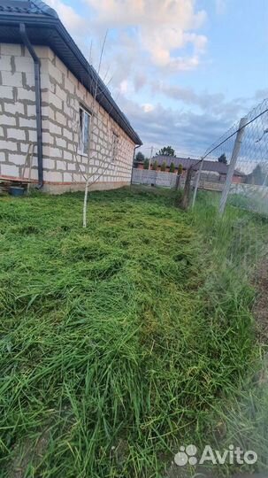 Покос травы,Зачистка участков,Спил деревьев