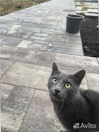 Тротуарная плитка брусчатка 100.200.40 серая