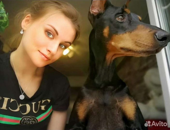 Передержка домашних животных