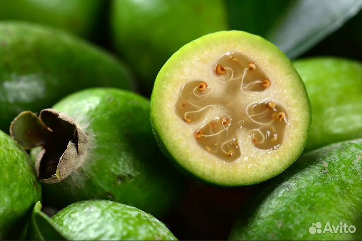 Варенье домашнего приготовления, для Москвы