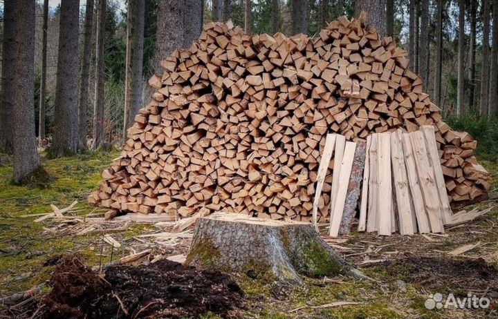 Дрова дубовые
