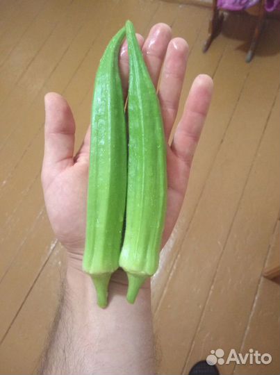 Семена Бамии(Окра)