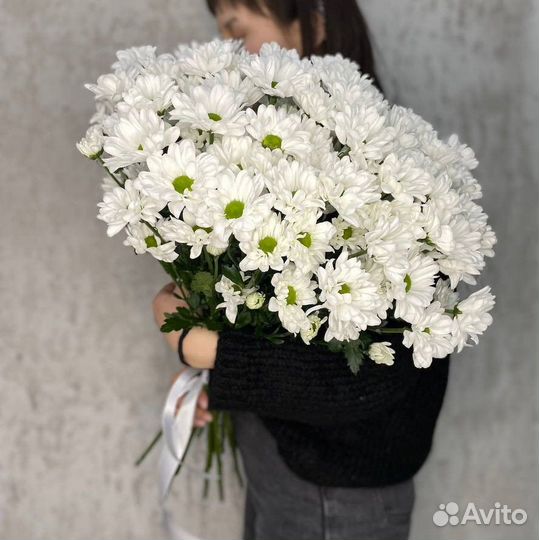Хризантема с доставкой в Иркутске
