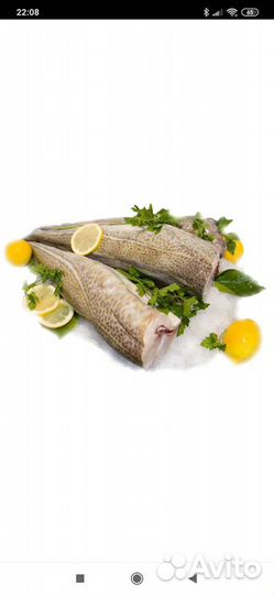 Свежемороженая рыбка в наличии