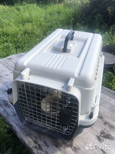 Переноска для средних пород