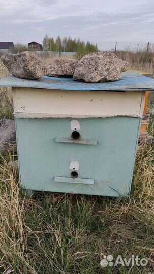 Ульи для пчел (очень теплые - 50 мм утеплитель)