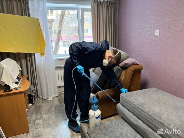 Уничтожение клопов тараканов насекомых