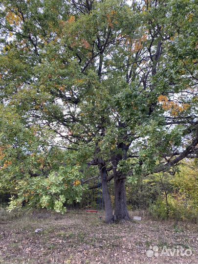 Отдых на природе