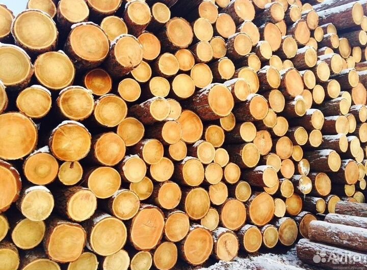 Лиственница бревна оптом от производителя