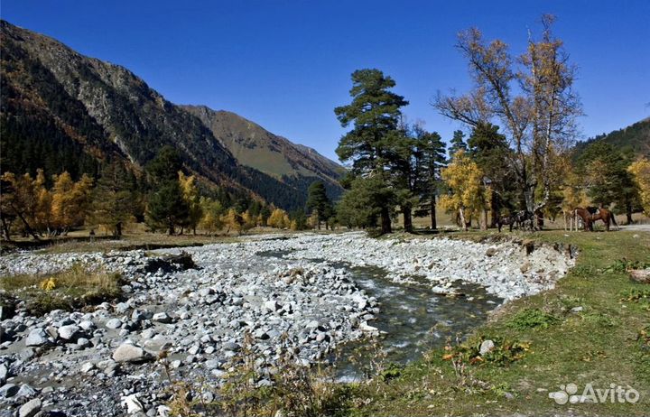 Путешествия, туры из Ростова, Архыз