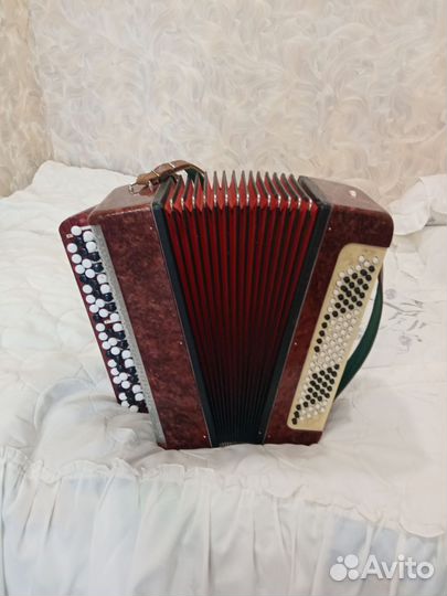 Баян тульский