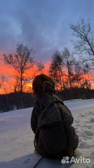Зимний комбинезон для собаки