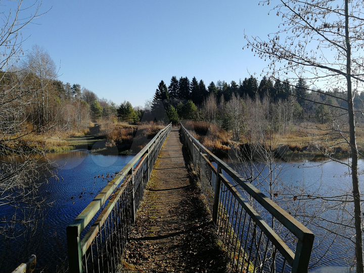 Участок 10 сот. (СНТ, ДНП)