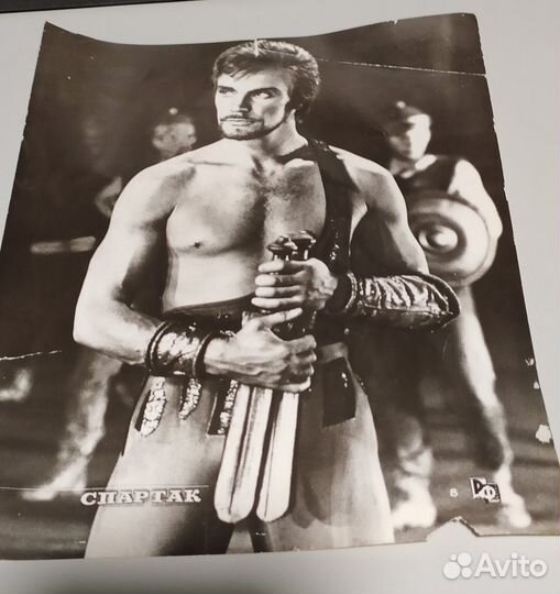 Набор ретро фотографий Синяя птица и Спартак