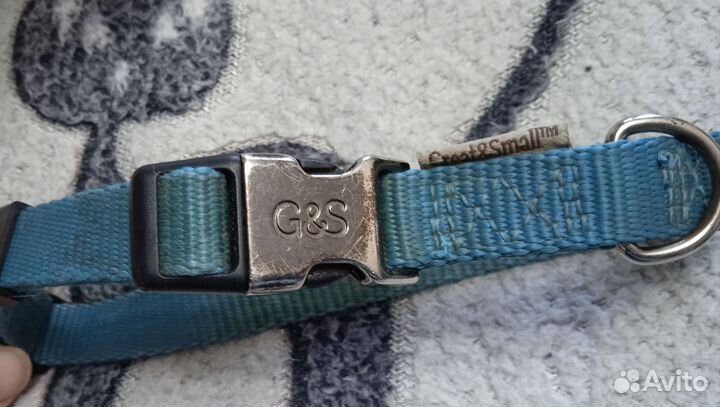 Ошейник и поводок