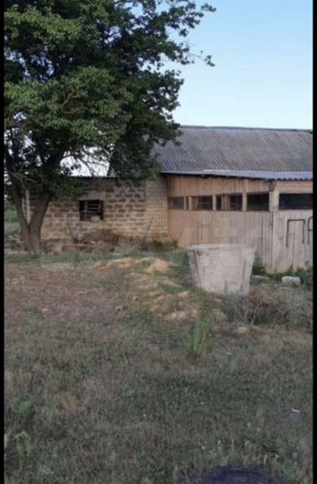 Животноводческая ферма