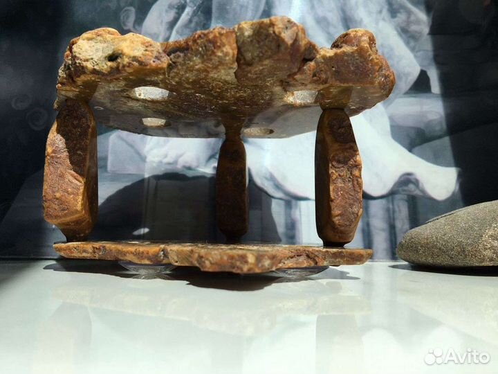 Карандашница на 4 предмета для юного палеонтолога