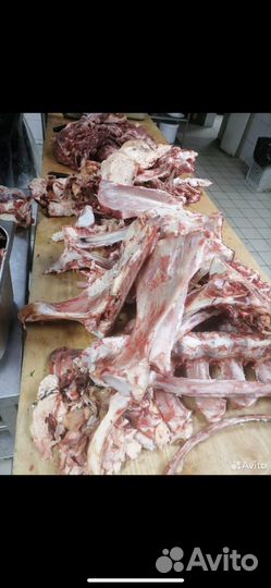 Кости для собак