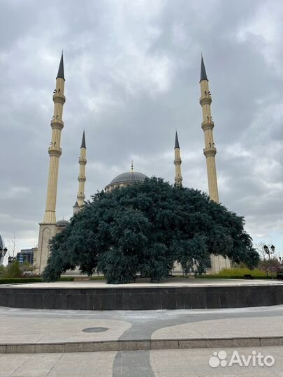 Экскурсии туры по Дагестану
