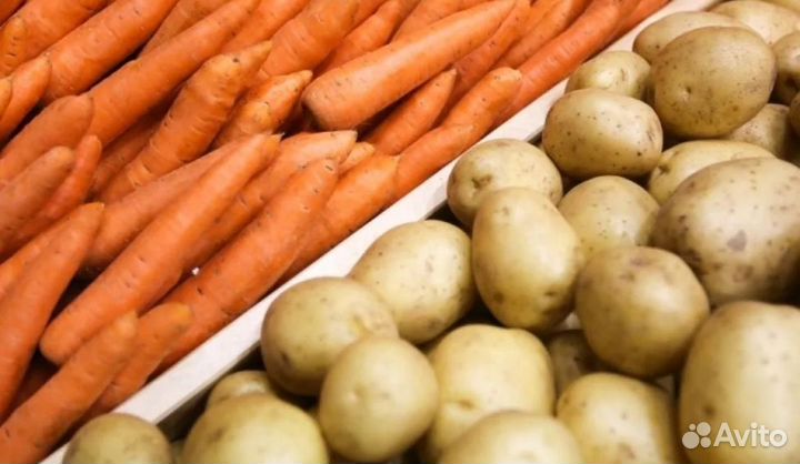 Картофель, морковь