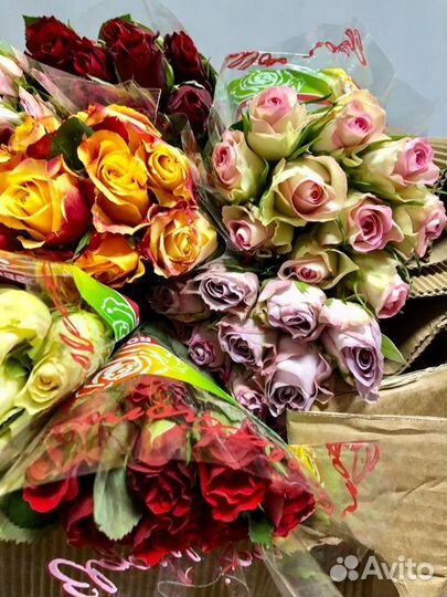 Цветы оптом Розы Кения 40 см