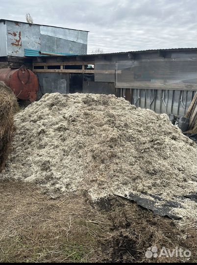 Свекольный жом, корм для скота