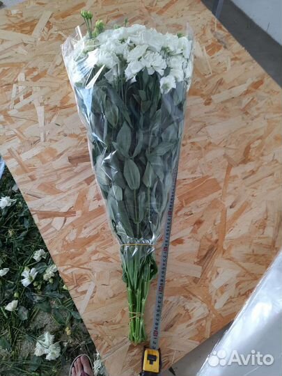 Цветы с доставкой