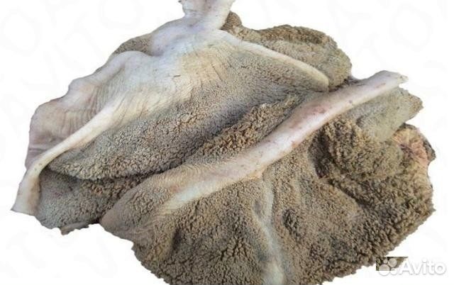 Желудок, рубец говяжье