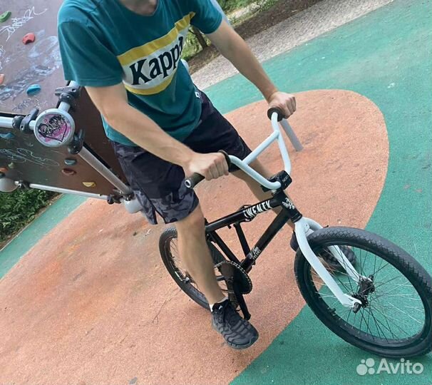 BMX Twenty Velvet