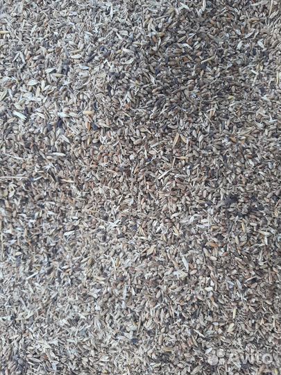 Корма для животных