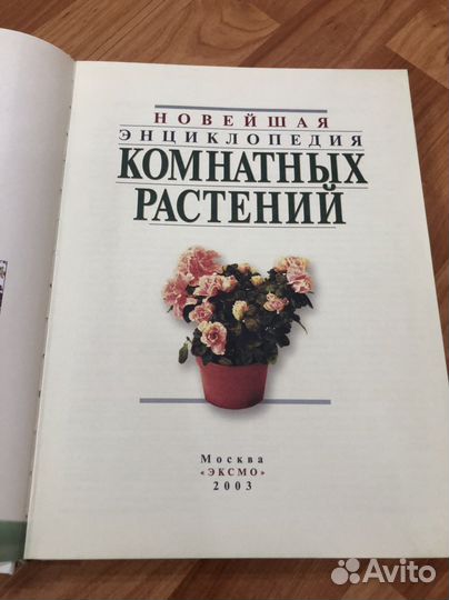 Энциклопедия комнатных растений,Дизайн и ремонт