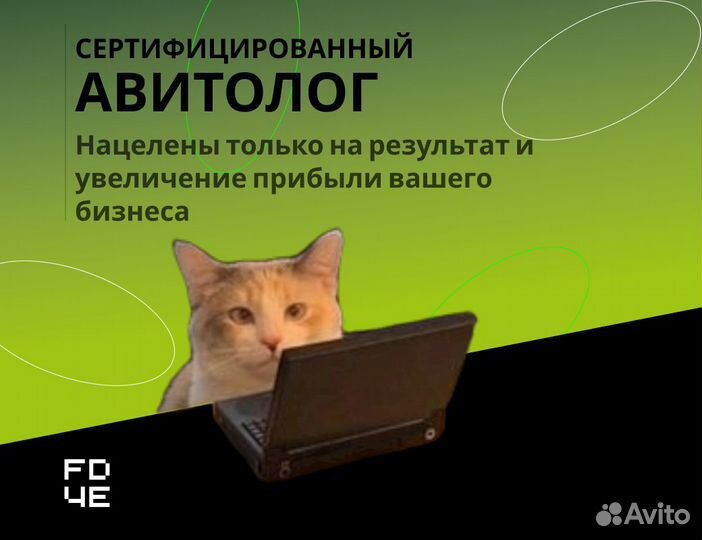Авитолог из Самары. Продвижение на авито