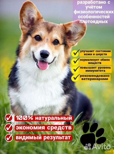 Витаминный комплекс для собак ПёсЗдоров