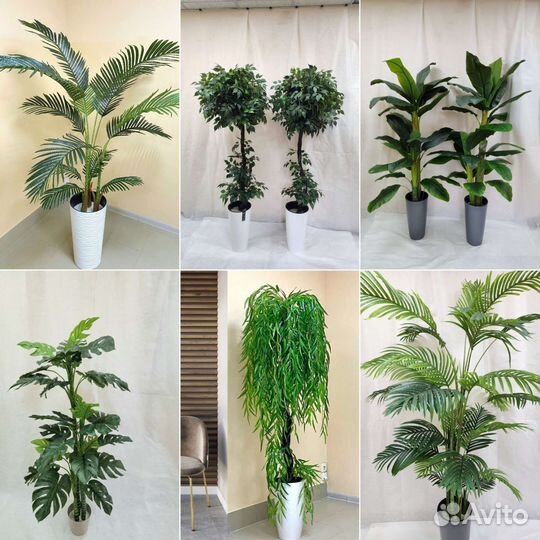 Монстра Премиум цветок искусственный в кафе