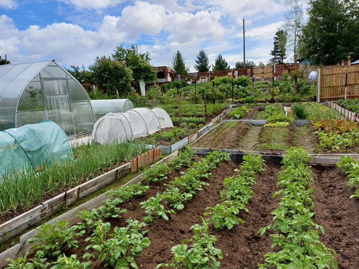 Участок 5,5 сот. (СНТ, ДНП)