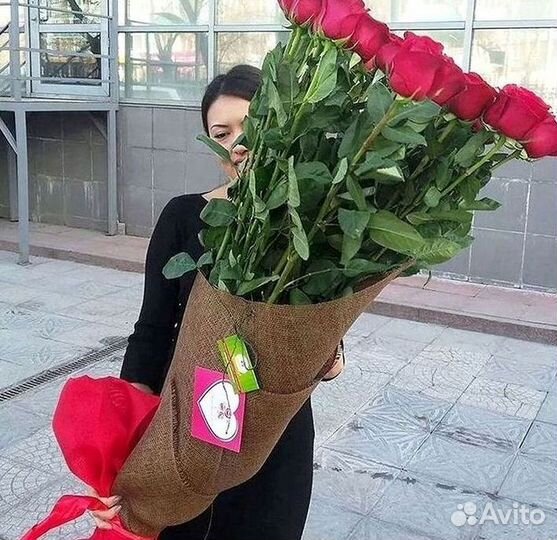 Высокие розы