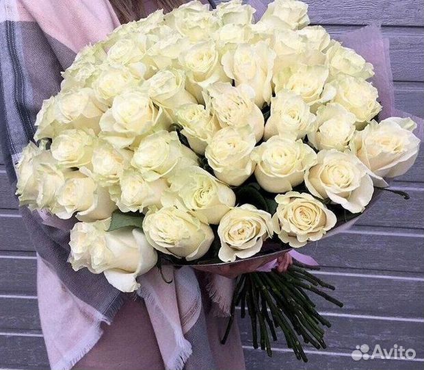 Высокие розы Гигантские розы Доставка цветов