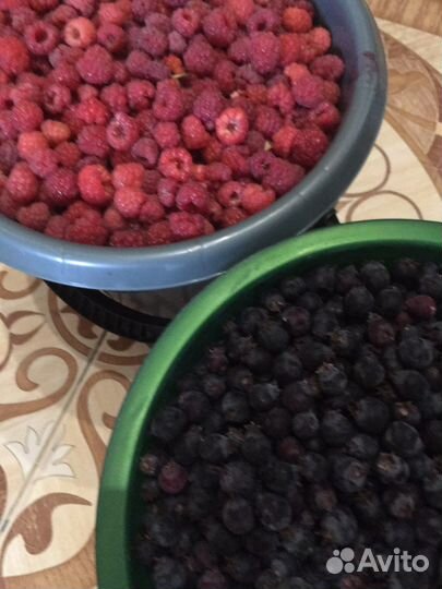 Ирга- ранетка