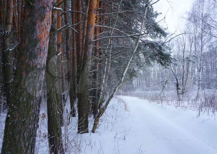 Участок 6 сот. (СНТ, ДНП)