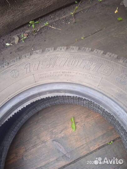 Forward Arctic 710 175/70 R13