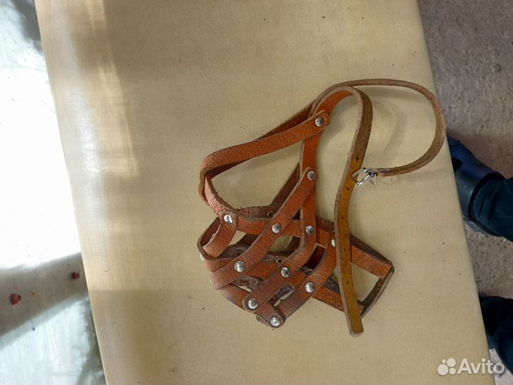 Намордник для собак