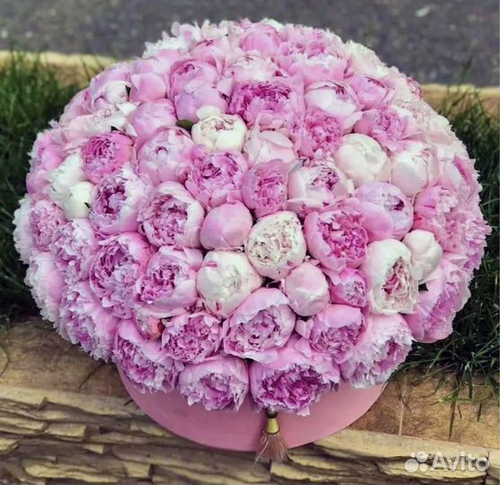 Букет из пионов, цветы с доставкой букеты