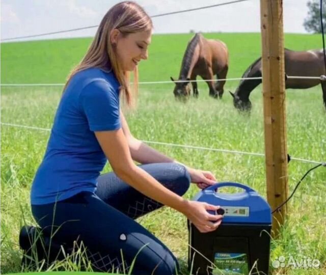 Электропастух