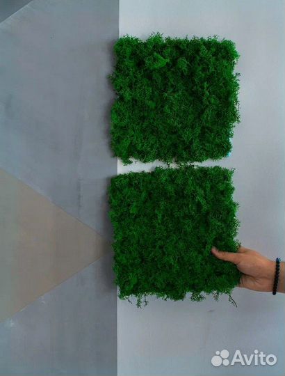 Стена из стабилизированного мха