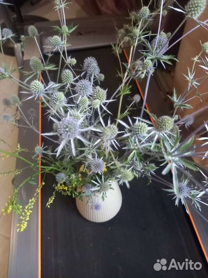 Букетик оберег чертополох