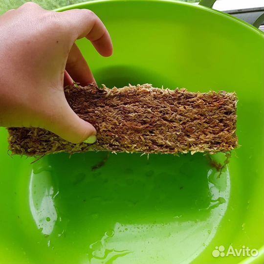 Мох прессованный спагмосс