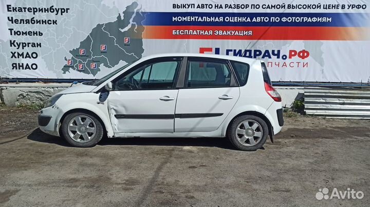 Ниша пола задняя левая Renault Scenic 2 8200223813