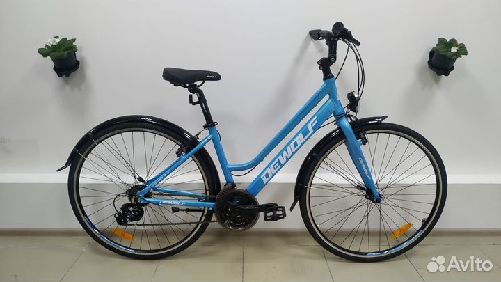 Велосипеды Momentum, Giant, Stark, DeWolf